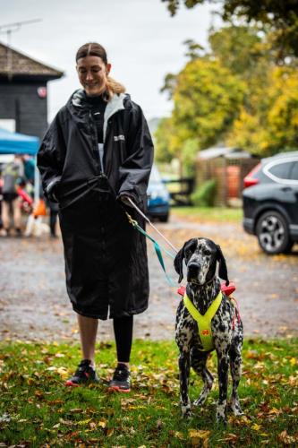 Crowd Dogs